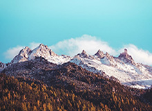 开云官网-CBA-胡金秋31+8+6孙铭徽12分 广厦力克青岛