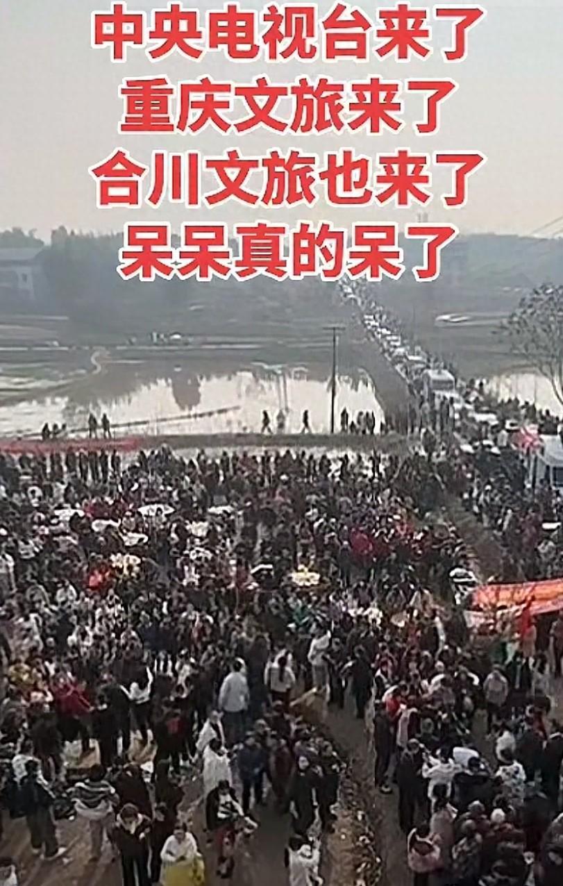 开云官网下载-央视车被堵外面，人民日报下场，白衬衫守护，呆呆成为历史第一人